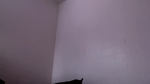 Snapshot of j0nnyk1ng chatting on 02/04/25, 06:27 Mugen online show from 02/04/25, 06:27