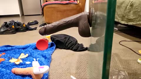 j220231 online show from 12/04/25, 12:25