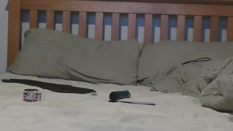 Snapshot of j281133 chatting on 11/04/25, 02:16 Big 8 online show from 11/04/25, 02:16