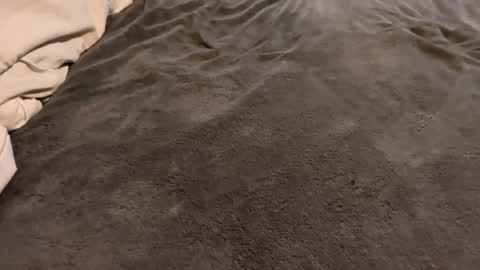 j_m12397 online show from 02/27/26, 03:17