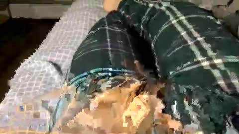 Snapshot of jaaltar chatting on 12/03/25, 02:41 Jaaltar online show from 12/03/25, 02:41