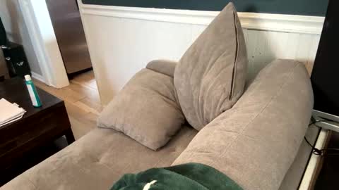 jack_daniels8101 online show from 04/07/26, 09:04