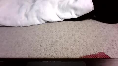 jack_wonder912 online show from 09/13/25, 04:12