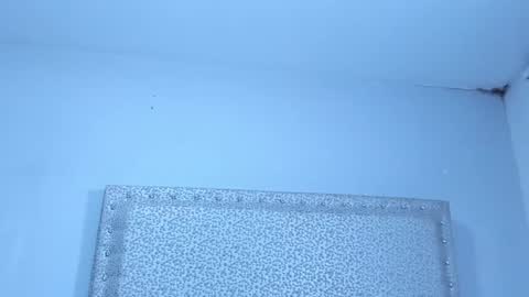 Jack White online show from 01/25/25, 04:02