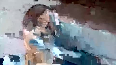 jackie petit online show from 12/02/24, 01:24