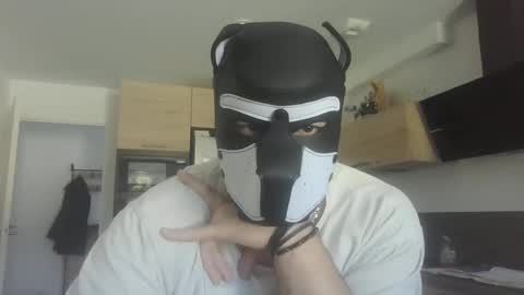 Snapshot of jackstoun_puppy chatting on 03/03/25, 11:33 ENygma online show from 03/03/25, 11:33