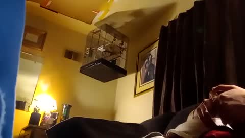 Jay Milwaukee online show from 12/23/24, 08:11