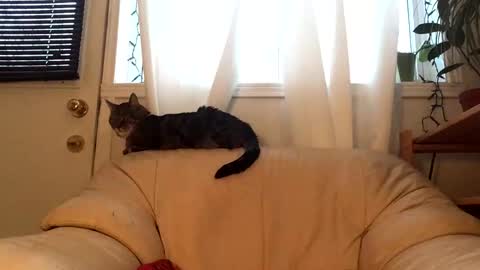 Jacob online show from 02/17/26, 09:54