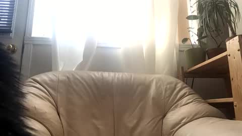 Jacob online show from 02/24/26, 03:43