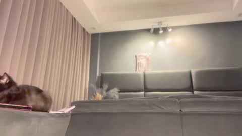 jacolandia online show from 02/23/25, 06:56