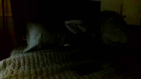 Jamacian online show from 11/07/25, 05:07