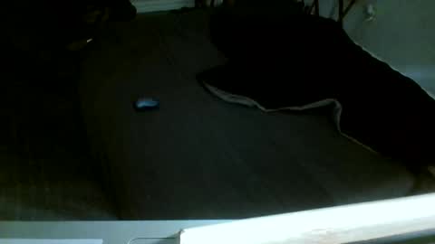 Jamacian online show from 12/14/25, 08:13