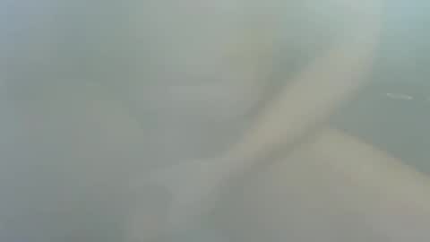 Snapshot of james2377_ chatting on 12/22/25, 02:25 James2377 online show from 12/22/25, 02:25