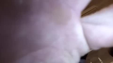 jamesloveridge901 online show from 04/02/26, 08:56