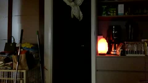 Snapshot of jamesmo820913 chatting on 10/25/25, 03:58 jamesmo820913 online show from 10/25/25, 03:58