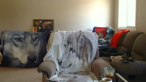 Snapshot of jameswolf777 chatting on 12/22/25, 08:06 jameswolf777 online show from 12/22/25, 08:06