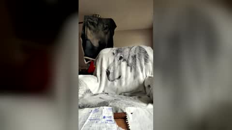 jameswolf777 online show from 05/30/26, 02:25