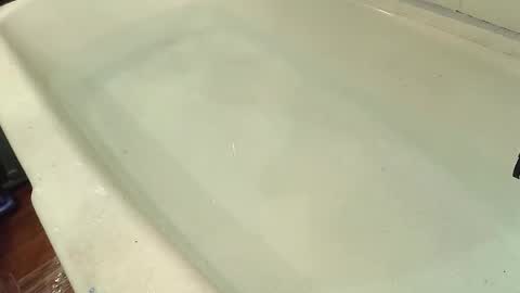 Bootyshows online show from 10/29/25, 07:59