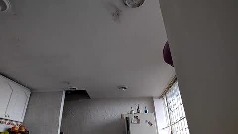 janariivera1 online show from 01/06/26, 04:54