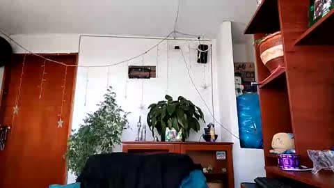 janariivera1 online show from 01/17/26, 07:28