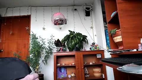 janariivera1 online show from 03/24/26, 04:56