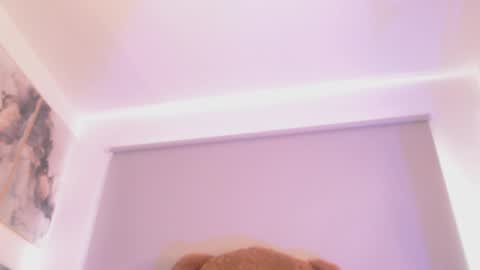 Jane online show from 04/17/26, 04:43