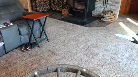 janeen- online show from 02/10/25, 04:47