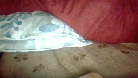 Snapshot of janneparker chatting on 11/25/25, 02:39 Janne online show from 11/25/25, 02:39