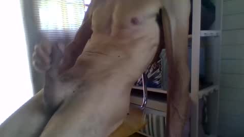 Snapshot of janzibor chatting on 05/26/26, 02:02 janzibor online show from 05/26/26, 02:02