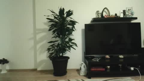 jaqueline88 online show from 11/29/25, 04:37