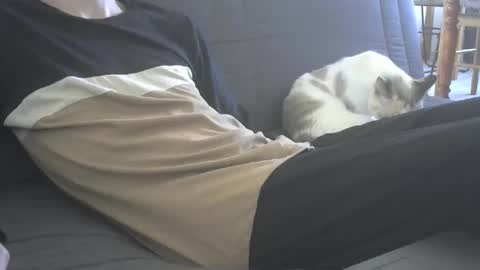 jasper 0 e23cm online show from 09/21/25, 07:43