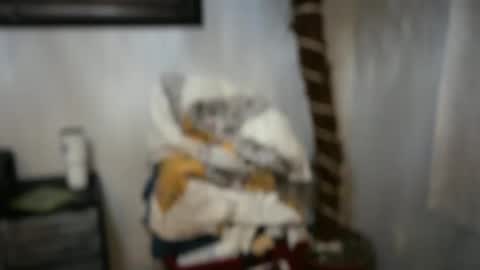 Snapshot of javlovesu chatting on 04/15/26, 02:29 JAV online show from 04/15/26, 02:29