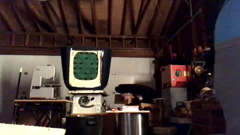 Jaws  online show from 10/11/25, 04:22