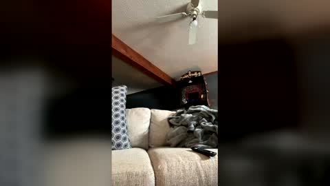 Jaws  online show from 01/05/26, 07:50