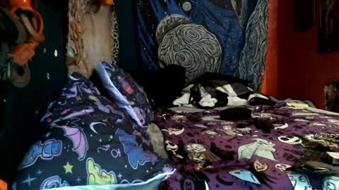 jaxxx666 online show from 02/12/25, 10:46