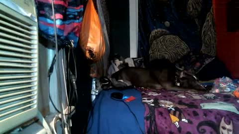 jaxxx666 online show from 02/25/25, 04:46