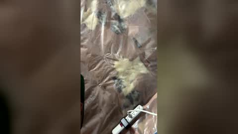 jaxsona online show from 04/18/26, 08:18