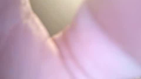 jay56777543234 online show from 02/08/26, 11:24