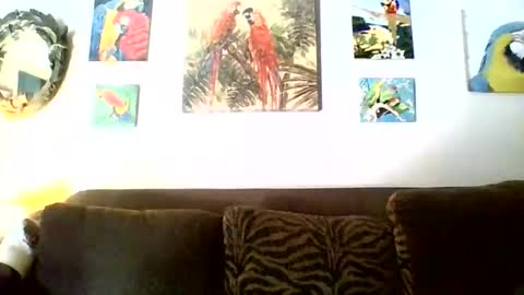 Snapshot of jay_jay1475 chatting on 11/17/25, 06:46 jay-jay1475 online show from 11/17/25, 06:46