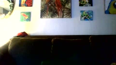 jay-jay1475 online show from 02/11/26, 09:42