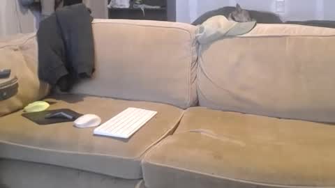 O F   jay short786 online show from 03/09/25, 04:49