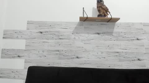 Jaycreedd online show from 02/11/25, 02:57