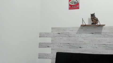 Jaycreedd online show from 02/13/25, 04:32