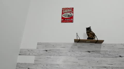 Jaycreedd online show from 03/12/25, 06:18