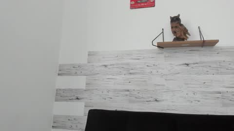 Jaycreedd online show from 09/22/25, 01:46