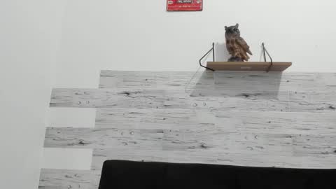 Jaycreedd online show from 09/26/25, 02:37