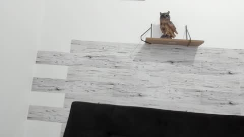 Jaycreedd online show from 10/02/25, 09:55