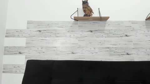 Jaycreedd online show from 10/29/25, 04:15