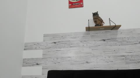 Jaycreedd online show from 11/26/25, 04:13