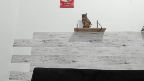 Jaycreedd online show from 01/14/26, 03:23